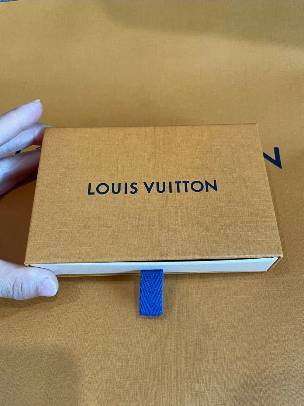 Louis Vuitton Monogram Coin Pouch